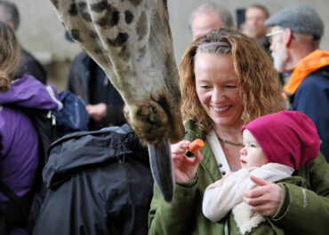 Fütterung von Rüben an Giraffe Kinder mit seltenen Krankheiten www.kmsk.ch
