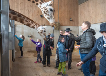 Fütterung Giraffen Kinder mit seltenen Krankheiten www.kmsk.ch