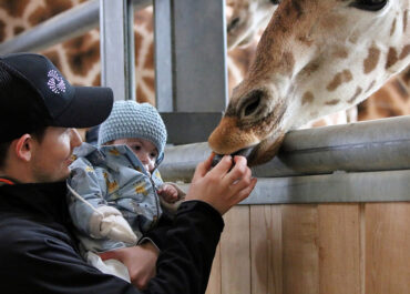 Giraffen Kinder mit seltenen Krankheiten www.kmsk.ch