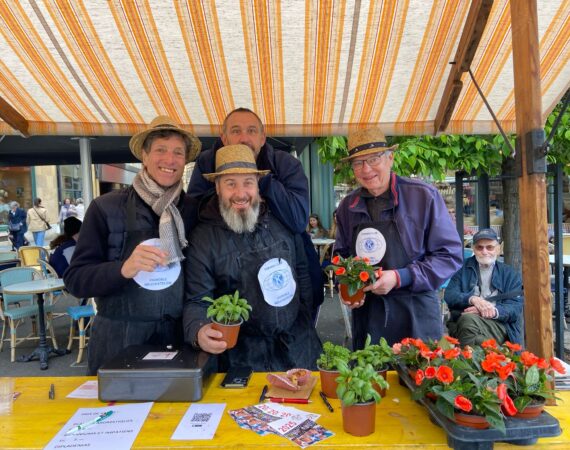 Vente de géranium