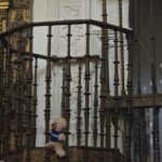 Eine wunderschöne Reise - Bär in der Kirche