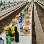Schwingfest Foto 3